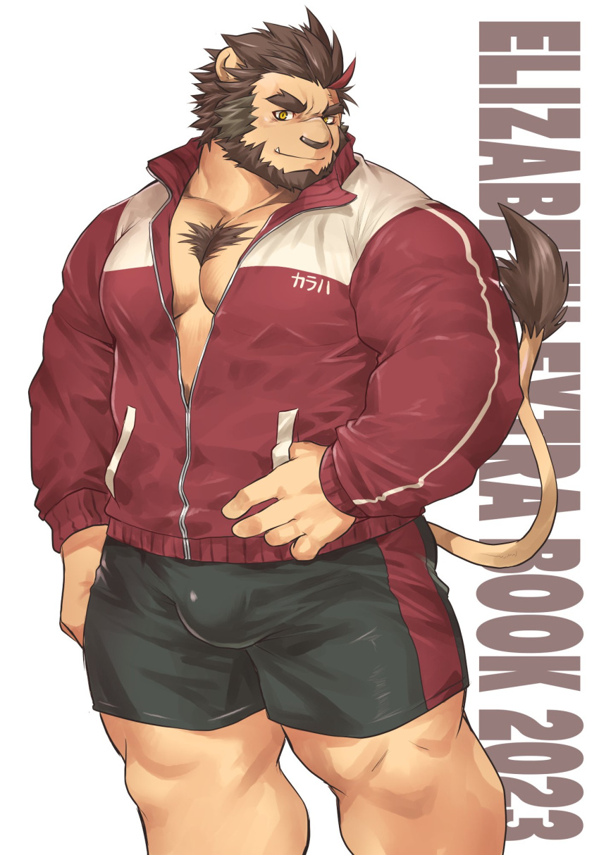 1boy alternate_costume animal_ears bara bare_pectorals beard black_shorts brown_hair bulge chest_tuft crave_saga ellie_saionji english_text facial_hair forked_eyebrows furry furry_male highres jacket karaha_(crave_saga) lion_boy lion_ears lion_tail looking_at_viewer male_focus partially_unzipped pectorals red_jacket shorts simple_background solo tail thick_eyebrows thick_thighs thighs thumb_in_pocket track_jacket tusks yellow_eyes