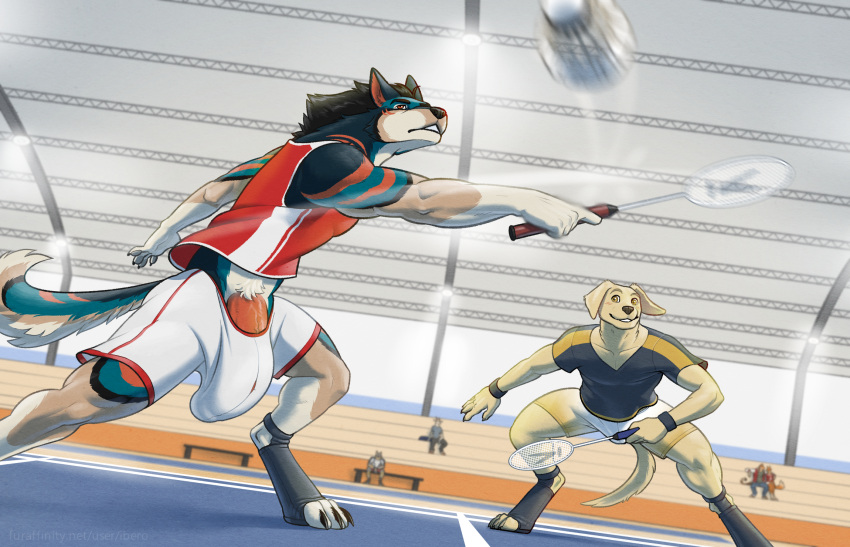 anthro badminton_racket big_bulge big_penis bulge canid canine canis domestic_dog duo genitals geordie_79 hi_res huge_bulge huge_penis ibero male male/male mammal penis public wolf