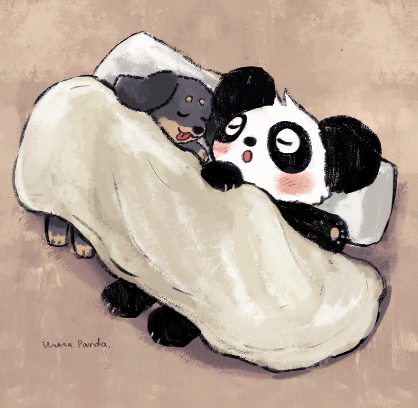 2023 araru bear bedding black_body black_nose blanket blush canid canine canis chibi domestic_dog duo eyes_closed feral giant_panda hi_res mammal pillow simple_background tongue tongue_out white_body