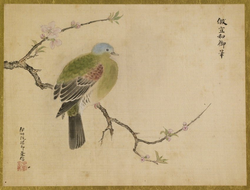 19th_century ambiguous_gender ancient_art avian beak bird black_body black_feathers blue_body blue_feathers branch brown_body brown_feathers columbid dove feathered_wings feathers feet green_body green_feathers hi_res isen'in_hoin_eishin japanese_text multicolored_body multicolored_feathers on_branch painting_(artwork) peach_blossom signature simple_background solo tail_feathers talons tan_background text toes traditional_media_(artwork) white_body white_feathers wings