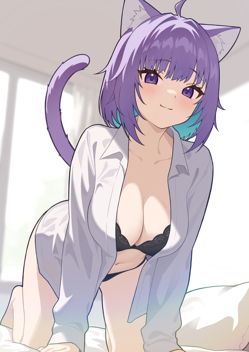 1girl absurdres ahoge all_fours animal_ear_fluff animal_ears barefoot black_bra black_panties blue_hair bra breasts cat_ears cat_girl cat_tail closed_mouth collarbone colored_inner_hair commentary highres hololive indoors long_hair long_sleeves looking_at_viewer medium_breasts multicolored_hair nekomata_okayu new_sankin_nyu open_clothes open_shirt panties pillow purple_eyes shirt short_hair smile solo symbol-only_commentary tail two-tone_hair underwear virtual_youtuber white_shirt