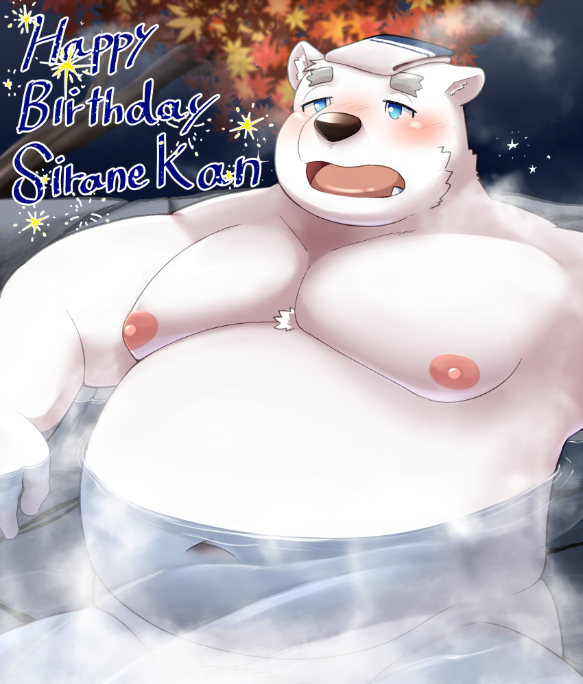 2023 absurd_res anthro barely_visible_genitalia barely_visible_penis bathing bear belly big_belly blue_eyes blush detailed_background genitals hi_res hot_spring humanoid_hands kemono male mammal moobs navel nipples onsen overweight overweight_male penis plant polar_bear shirane_kan solo towel towel_on_head tree udontarai ursine utau water white_body