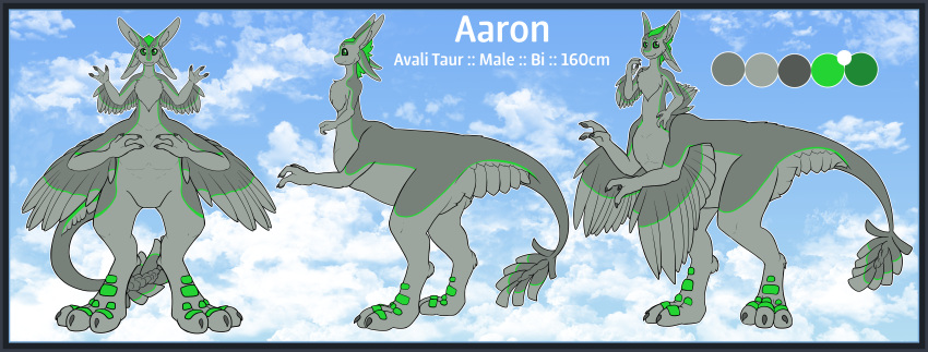 2023 3_fingers 3_toes 4_ears aaron_(avali) absurd_res avali avali_taur avian avian_taur biped biped_taur blue_border border character_name claws cloud cloudscape color_swatch digital_drawing_(artwork) digital_media_(artwork) digitigrade english_text feather_tuft feathered_wings feathers featureless_crotch feet fingers flat_colors front_view gender_name green_body green_eyes green_feathers green_scutes grey_body grey_claws grey_feathers grey_head grey_pawpads grey_sclera grey_wings height hi_res information long_ears long_neck male male_(lore) measurements model_sheet multi_ear nude nude_male nude_taur outline pawpads portrait side_view sky sky_background small_upper_body solo species_name standing stated_bisexuality stated_sexuality tail taur taurification taurified text thecatherd three-quarter_view toes tuft white_outline winged_arms wings zillyhoo