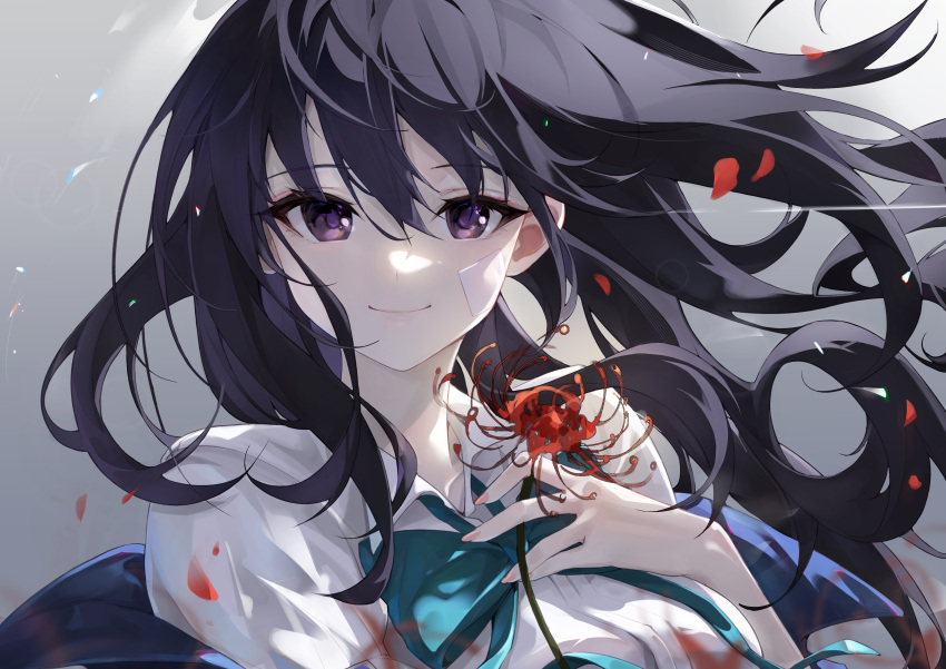 1girl a_yue absurdres black_hair blurry bow bowtie closed_mouth collared_shirt commentary depth_of_field falling_petals fingernails floating_hair flower gauze green_bow green_bowtie hair_between_eyes highres holding holding_flower inoue_takina long_hair looking_at_viewer lycoris_recoil nail_polish petals pink_nails purple_eyes shirt simple_background smile solo spider_lily upper_body white_shirt