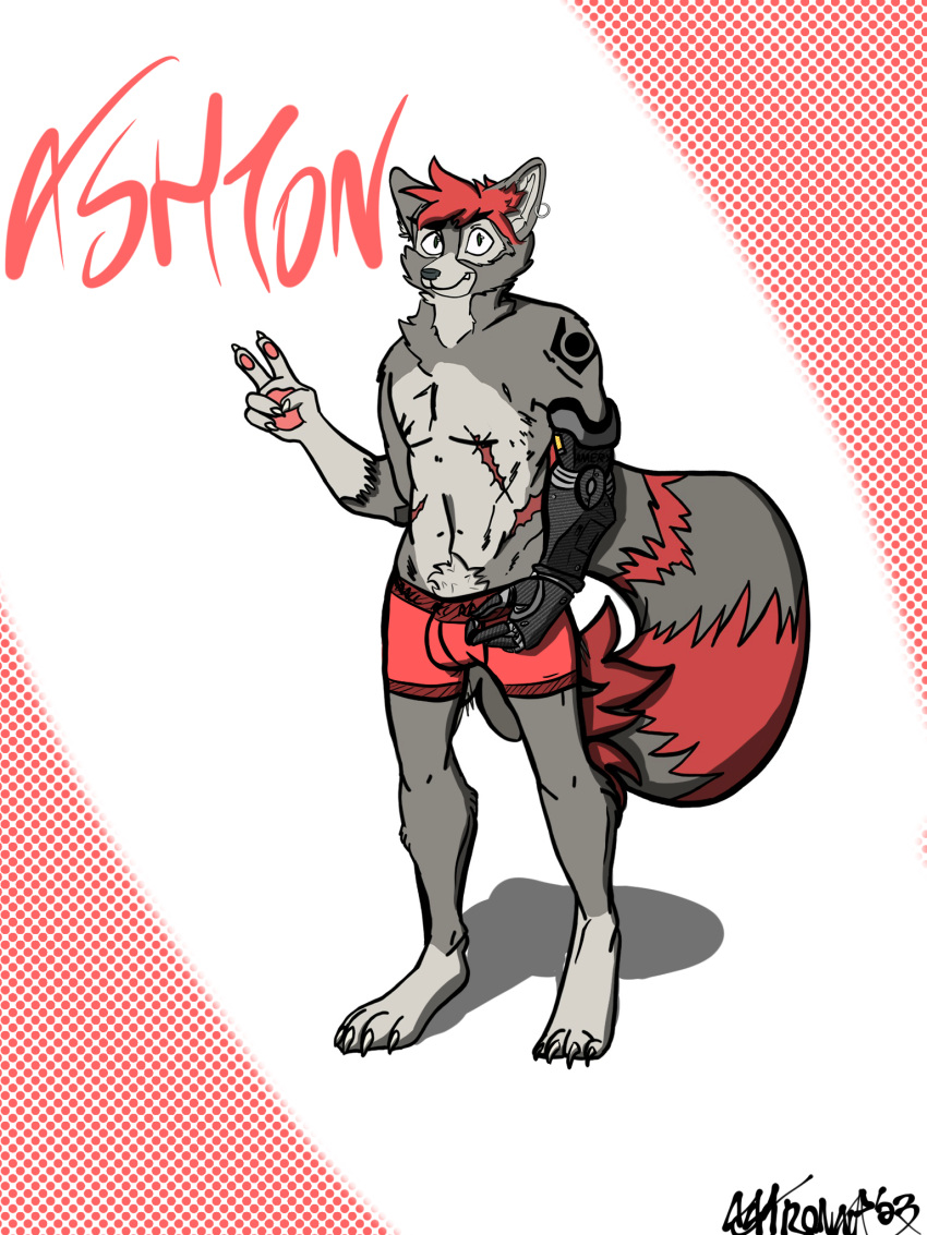 anthro arm_tattoo ashton_thatcher ashtronaut bottomwear boxers_(clothing) claws clothing fluffy fluffy_tail fur gesture green_eyes grey_body grey_fur hair hi_res male mammal pantsless piercing procyonid prosthetic prosthetic_arm prosthetic_limb raccoon red_bottomwear red_boxers red_clothing red_hair red_underwear shaded shirtless solo tail tattoo toe_claws underwear v_sign