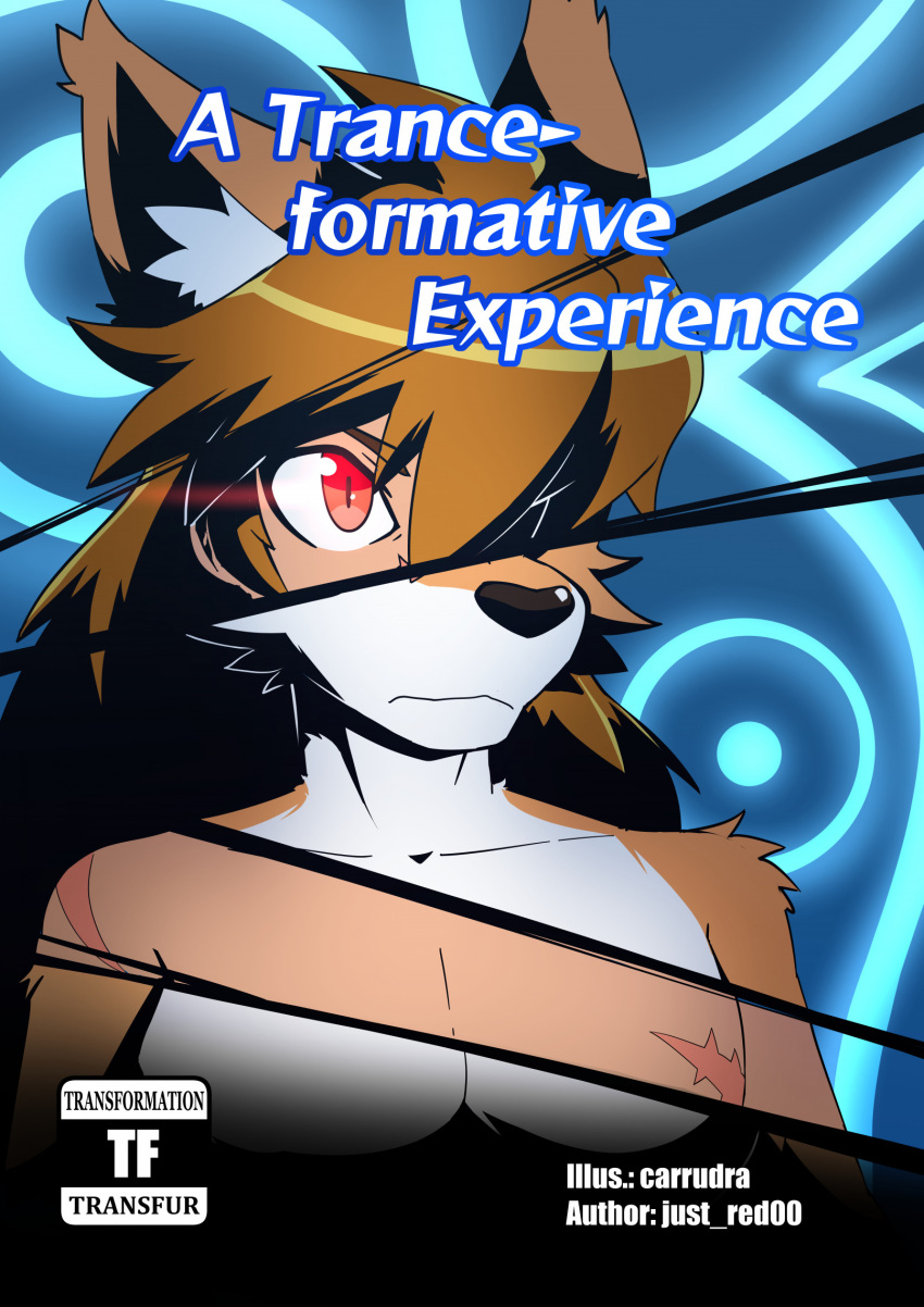 abstract_background anthro brown_hair canid canine caninu canis carrudra content_warning cover cover_art cover_page cyberconnect2 domestic_dog english_text frown hair hair_over_eye hi_res human little_tail_bronx long_hair male mammal one_eye_obstructed red_eyes red_savarin scar shirtless_male solatorobo solo text transformation