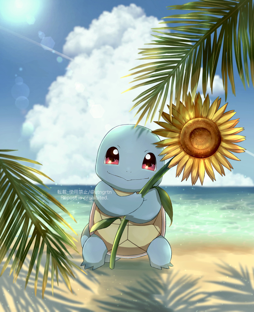 absurdres animal_focus beach closed_mouth cloud cumulonimbus_cloud flower fuyu_(utngrtn) highres holding holding_flower lens_flare no_humans nostrils palm_tree pokemon pokemon_(creature) red_eyes smile squirtle standing sunflower tree turtle twitter_username watermark yellow_flower