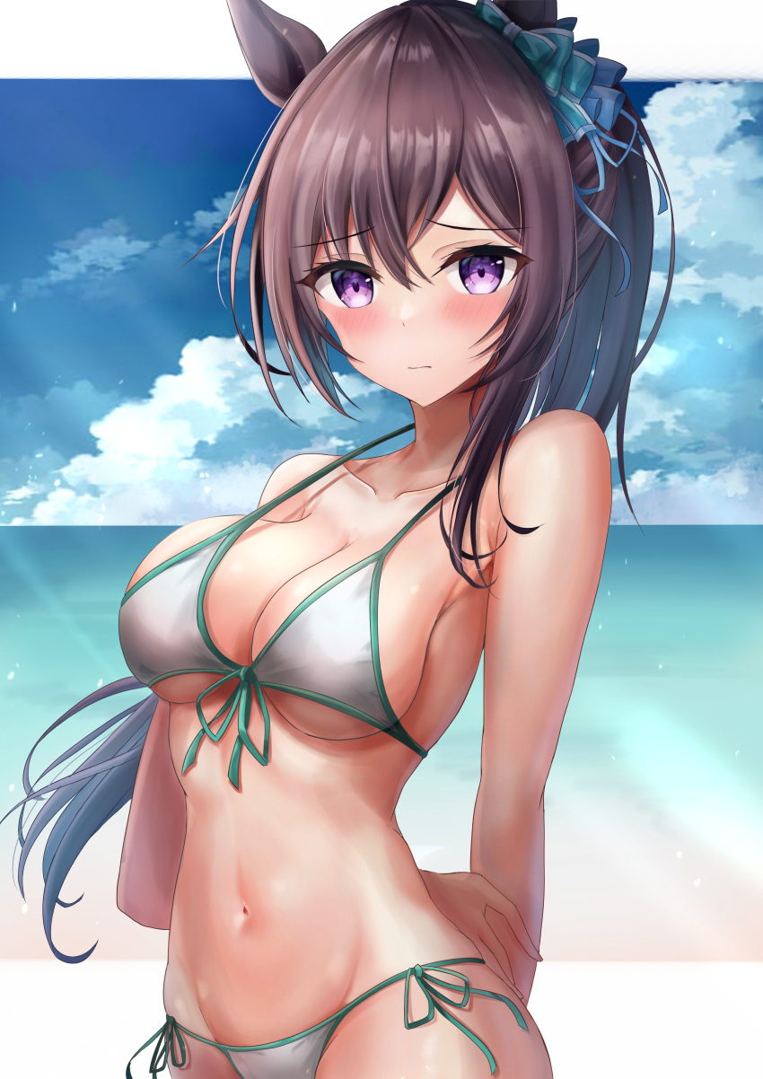 1girl absurdres animal_ears arms_behind_back beach bikini blue_sky breasts brown_hair cleavage cloud day front-tie_bikini_top front-tie_top hair_ornament highres horizon horse_ears horse_girl horse_tail long_hair looking_at_viewer medium_breasts mejiro_dober_(umamusume) navel ocean outdoors purple_eyes side-tie_bikini_bottom sky solo swimsuit tail umamusume waity_awa white_bikini