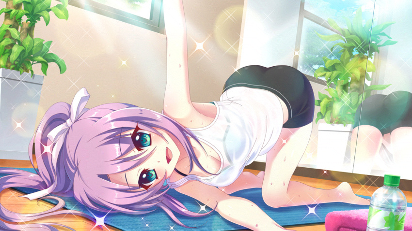 1girl armpits ass bare_legs bike_shorts black_shorts blue_eyes blue_sports_bra bottle bra_visible_through_clothes breasts cleavage day dot_nose fang film_grain game_cg hair_ribbon high_ponytail indoors izumi_tsubasu lens_flare looking_at_viewer medium_breasts mirror non-web_source official_art on_floor open_mouth plant potted_plant purple_hair re:stage! reflection ribbon see-through shorts smile solo sparkle sports_bra sunlight sweat tank_top towel tree tsukisaka_sayu water_bottle wet wet_clothes white_ribbon white_tank_top window wooden_floor yoga yoga_mat