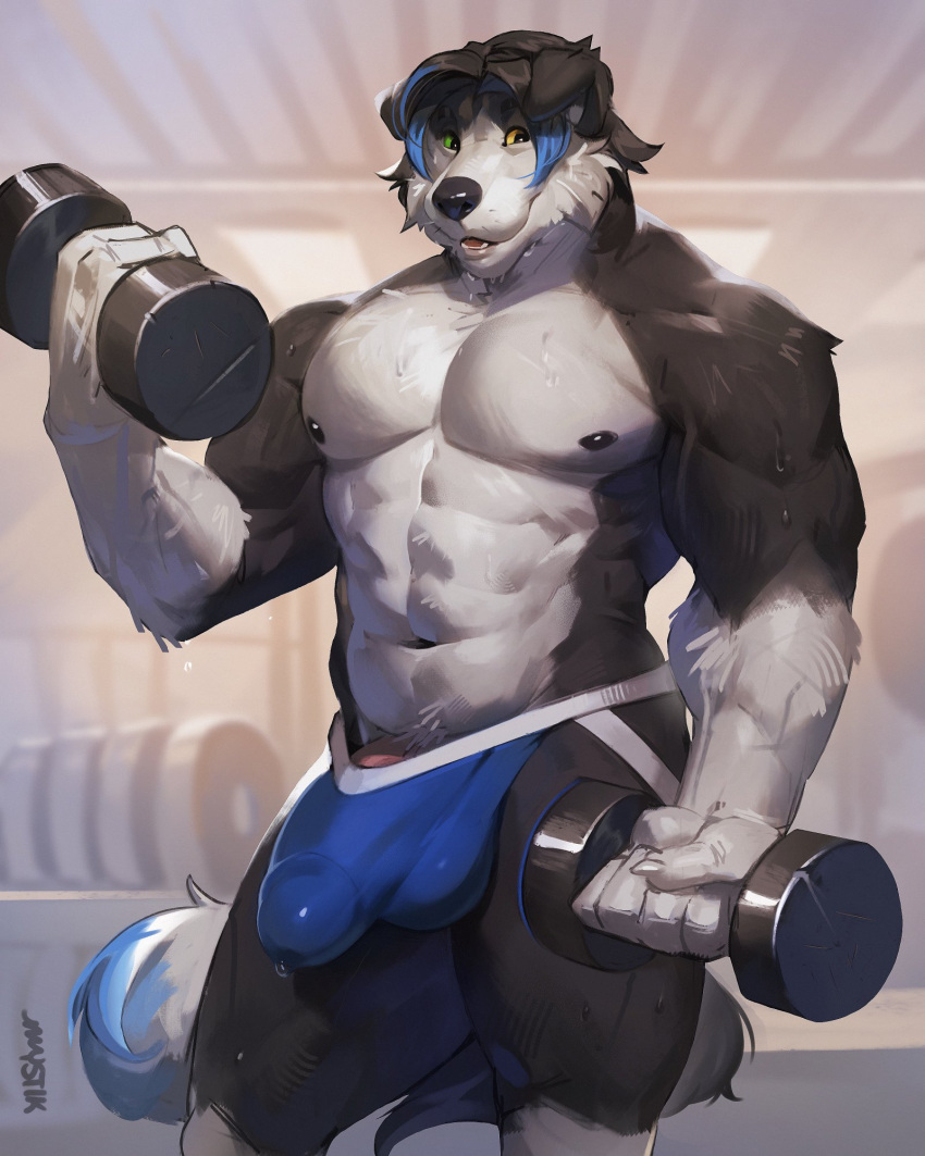 4:5 anthro bodily_fluids border_collie bulge canid canine canis clothed clothing collie domestic_dog dumbbell erection exercise floppy_ears front_view genital_fluids genital_outline genitals gym herding_dog heterochromia hi_res inside jockstrap jockstrap_only male mammal mostly_nude muscular muscular_anthro muscular_male mystikfox61 open_mouth pastoral_dog penis penis_base penis_outline precum precum_through_clothing precum_through_underwear sheepdog smile solo standing tenting topless underwear underwear_only weightlifting weights wet wet_clothing workout