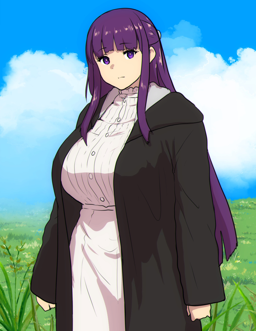 1girl black_coat blue_sky breasts cloud cloudy_sky coat day dress erkaz expressionless fern_(sousou_no_frieren) grass highres large_breasts long_sleeves looking_at_viewer outdoors purple_eyes purple_hair purple_pupils sky solo sousou_no_frieren upper_body white_dress