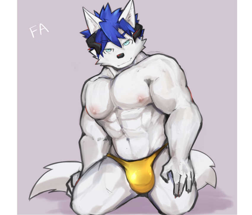 abs anthro asleepchef biceps blue_eyes blue_hair bulge canid clothing detailed_bulge hair hi_res male mammal muscular muscular_male nipples pecs pose simple_background smile solo speedo swimwear tail white_body