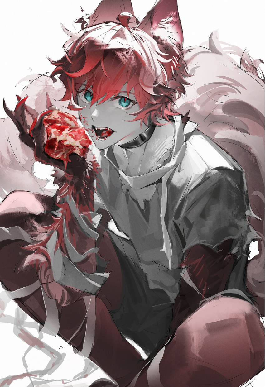 1boy ahoge amagi_hiiro animal_ears animal_hands aqua_eyes black_shorts blood blood_in_mouth blood_on_clothes blood_on_face blood_on_hands claws collar ensemble_stars! fangs feet_out_of_frame hair_between_eyes halloween_costume hand_up highres kukuish looking_at_viewer loose_bandages male_focus open_mouth pants_under_shorts partially_colored red_hair red_pupils red_theme shirt short_sleeves shorts simple_background sitting slit_pupils solo tail torn_clothes torn_shirt torn_sleeves white_background wolf_boy wolf_ears wolf_tail