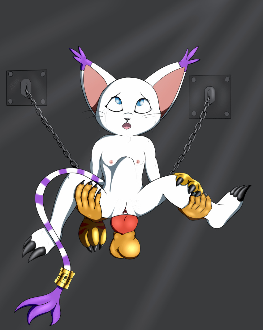 3_fingers 3_fingers_gloves 3_toes abdominal_bulge absurd_res abuse anal anal_penetration animal_genitalia animal_penis anthro balls bandai_namco bdsm big_ears black_nose blue_eyes bodily_fluids bondage bound breasts chain chained chest_tuft claws clothing crying cuff_(restraint) digimon digimon_(species) digital_media_(artwork) disembodied_hand disembodied_penis erection feet felid feline felis female female_focus female_penetrated fingers forced fur gatomon genitals gloves handcuffs handwear handwear_only held_up hi_res jewelry limp_arms long_tail looking_scared male male/female male_penetrating male_penetrating_female mammal markings metal_cuffs mohrlex mostly_nude nipples nude nude_anthro open_mouth penetration penis pussy rape restrained restraints scared scratch_mark sex simple_background small_breasts solo solo_focus stretched_anus stripes tail tears teeth toes tuft whiskers white_body white_fur