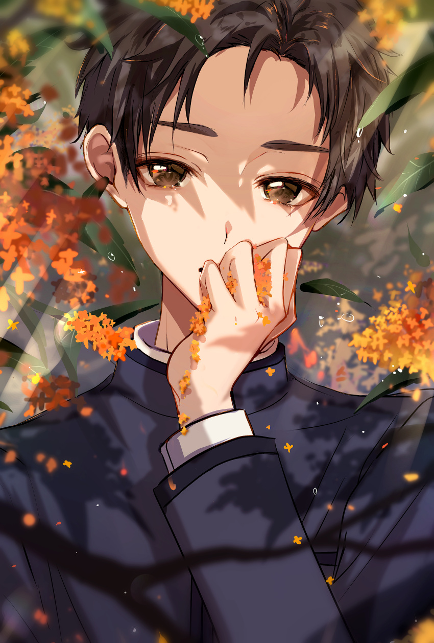 1boy absurdres black_hair black_jacket branch brown_eyes commentary_request covering_mouth day flower foliage forehead gakuran gold_osmanthus hand_over_own_mouth highres jacket leaf light_rays long_sleeves looking_at_viewer male_focus orange_flower original outdoors parted_hair partial_commentary peach_punch portrait school_uniform shirt solo sunbeam sunlight water_drop white_shirt