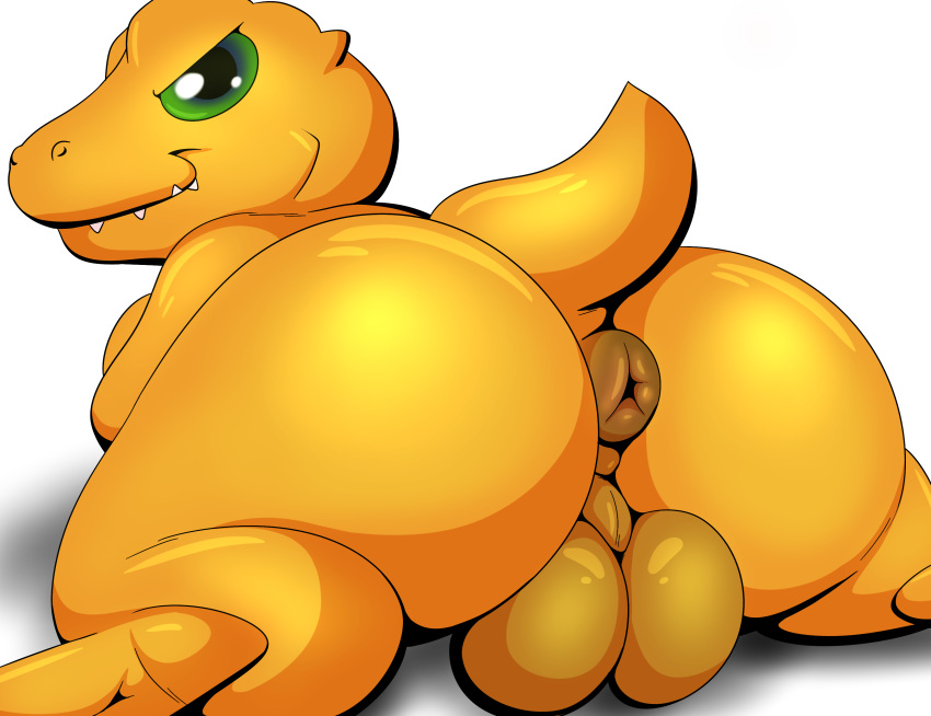 absurd_res agumon anthro anus balls bandai_namco big_butt butt digimon digimon_(species) genitals hi_res looking_at_viewer looking_back male puffy_anus solo tail tepigfan101
