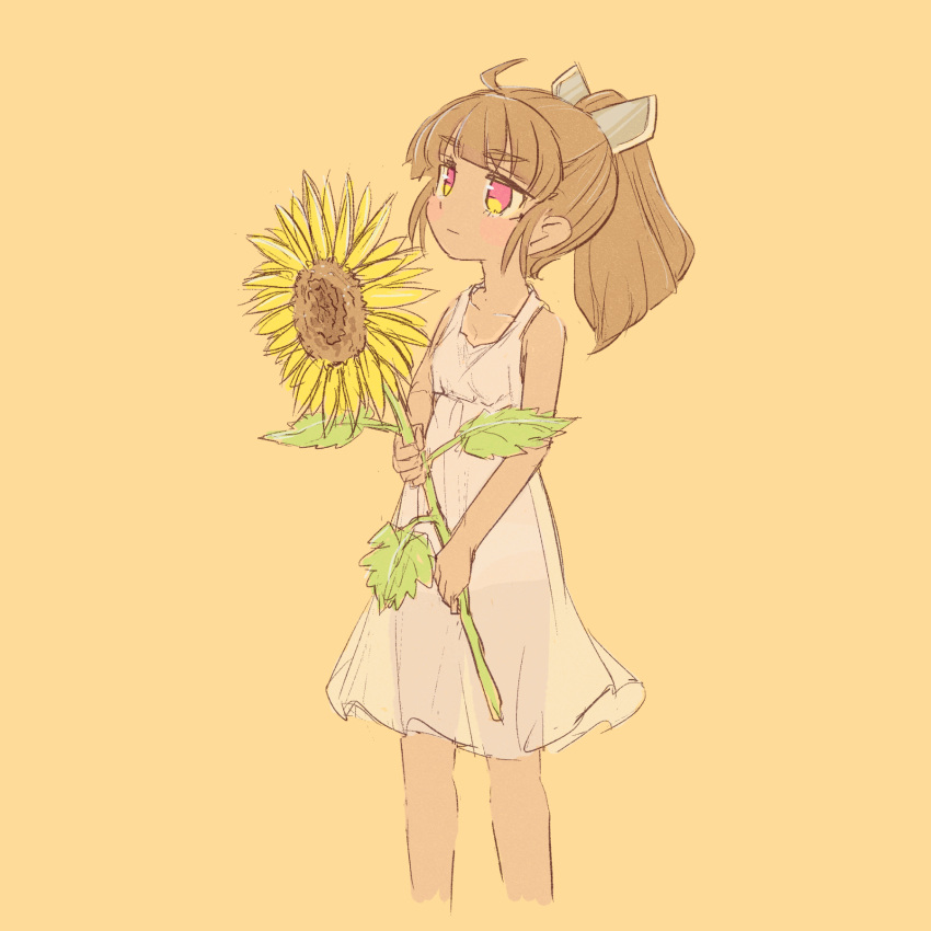 1girl ahoge alternate_costume alternate_eye_color blunt_bangs blush brown_hair closed_mouth commentary_request cropped_legs dress flower haiku_kit highres holding holding_flower long_hair looking_ahead looking_up ponytail see-through_silhouette sidelocks simple_background sleeveless sleeveless_dress solo sundress sunflower tan tanlines thick_eyebrows touhoku_kiritan two-handed two-tone_eyes voiceroid white_dress yellow_background