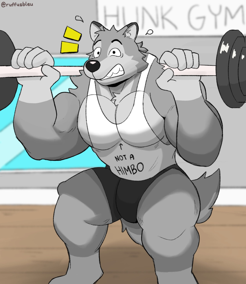 2022 anthro barazoku barbell biceps big_bulge biped black_nose bodily_fluids bottomwear bulge canid canine canis clenched_teeth clothed clothing crouching cum digital_media_(artwork) english_text exercise eyebrows flying_sweatdrops fully_clothed genital_fluids hi_res male mammal muscular muscular_anthro muscular_male muscular_thighs pecs ruffus_(ruffusbleu) ruffusbleu shirt shorts solo sweat sweatdrop tail tank_top teeth text topwear wolf workout