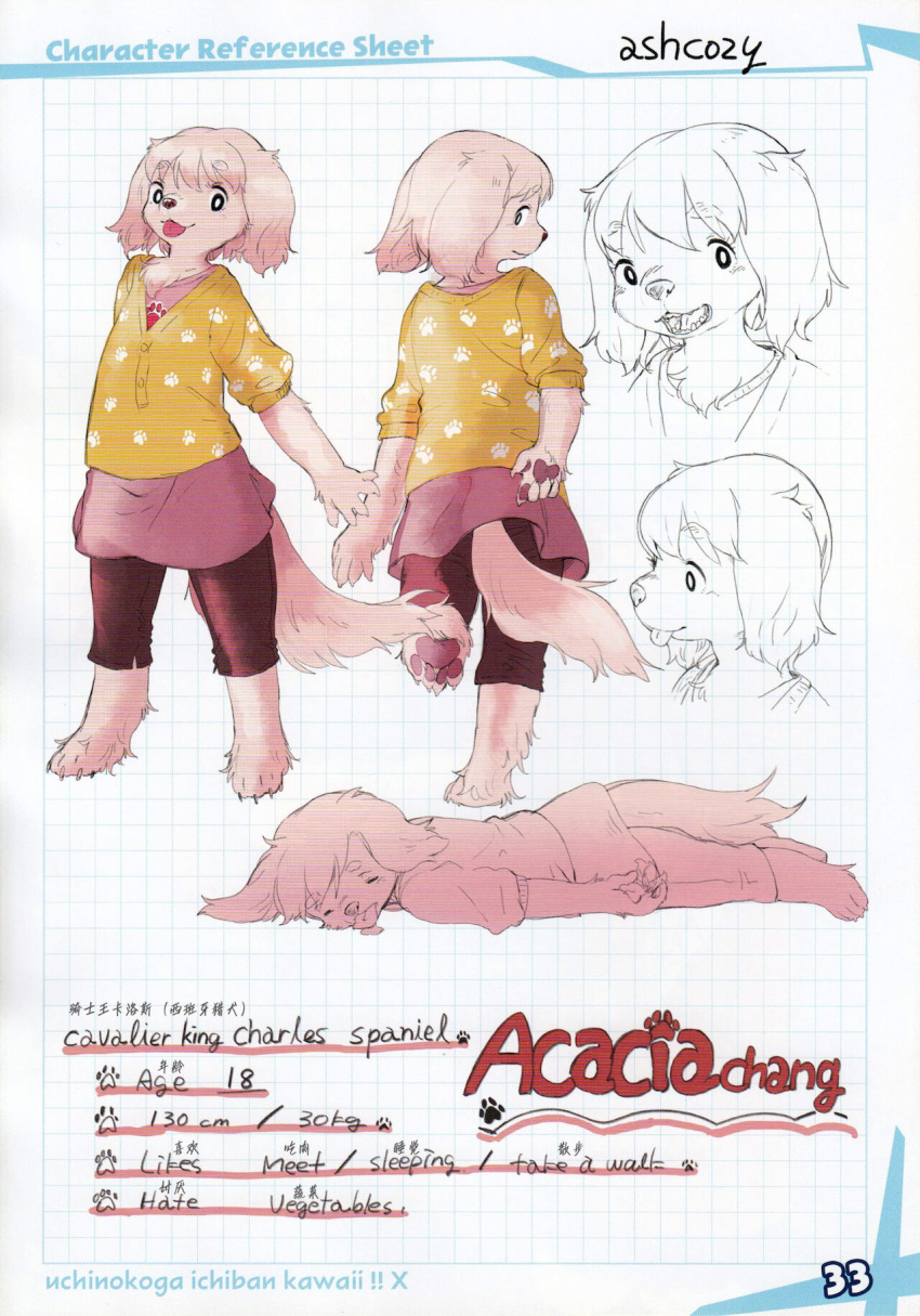 acacia_(ashcozy) anthro ashcozy canid canine canis domestic_dog female hi_res lying_on_ground mammal model_sheet open_mouth pawpads rear_view side_view