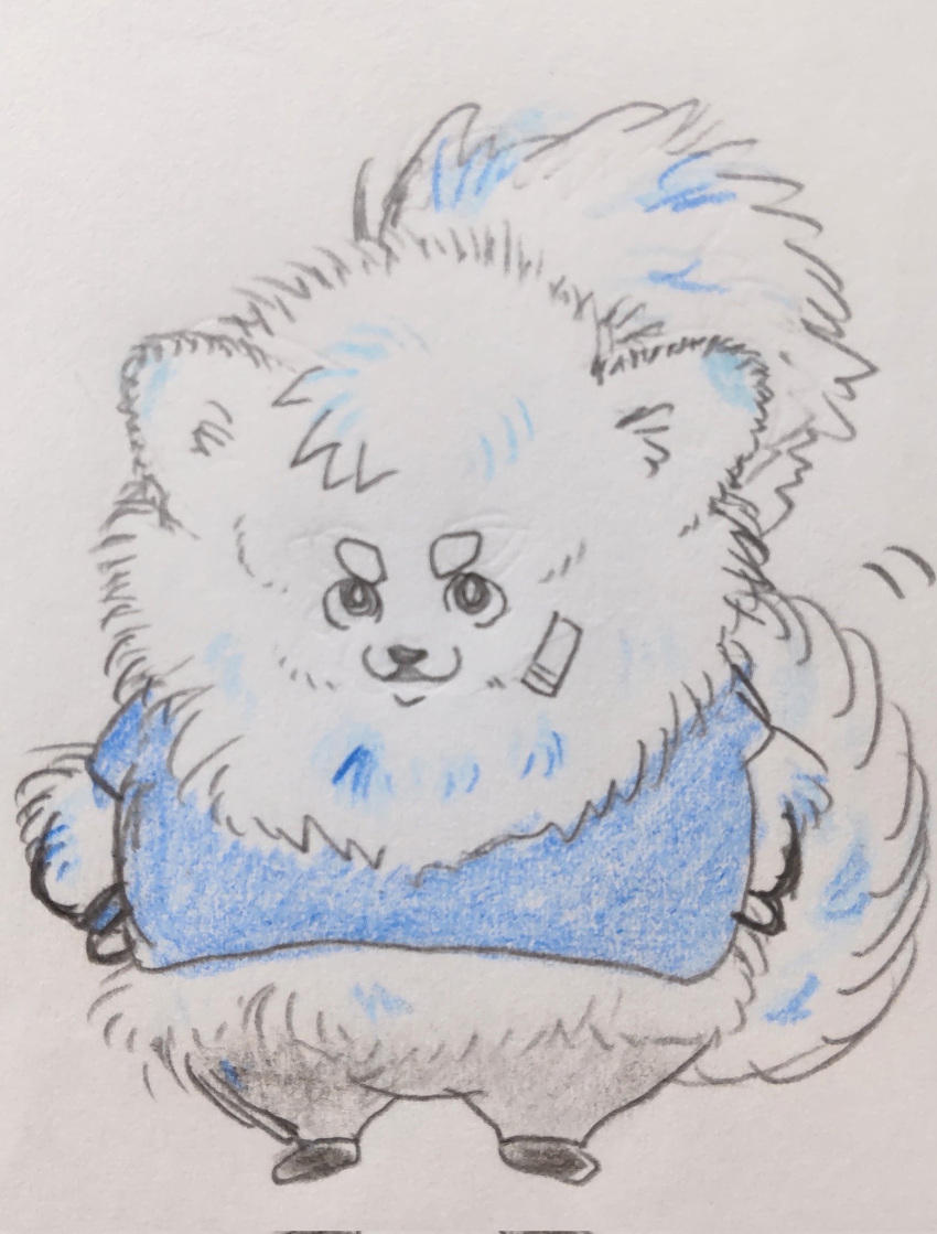 alternate_species anthro bandage_on_face blue_clothing canid canine canis clothing domestic_dog fluffy fujifuji_w hi_res japanese_text lifewonders live_a_hero male mammal pomeranian shirt solo spitz t-shirt text topwear traditional_media_(artwork) yohack