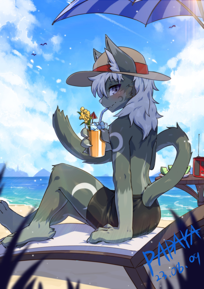 2023 ambient_bird anthro avian beach beverage bird black_bottomwear black_clothing black_shorts blue_sky blush bottomwear cheek_tuft clothed clothing dated day drinking facial_tuft fangs felid fur grey_body grey_fur hair hi_res holding_beverage holding_object looking_at_viewer male mammal mouth_closed outside papayafurry purple_eyes radio seaside shorts side_view signature sitting sky solo teeth topless tuft water wearing_hat white_hair