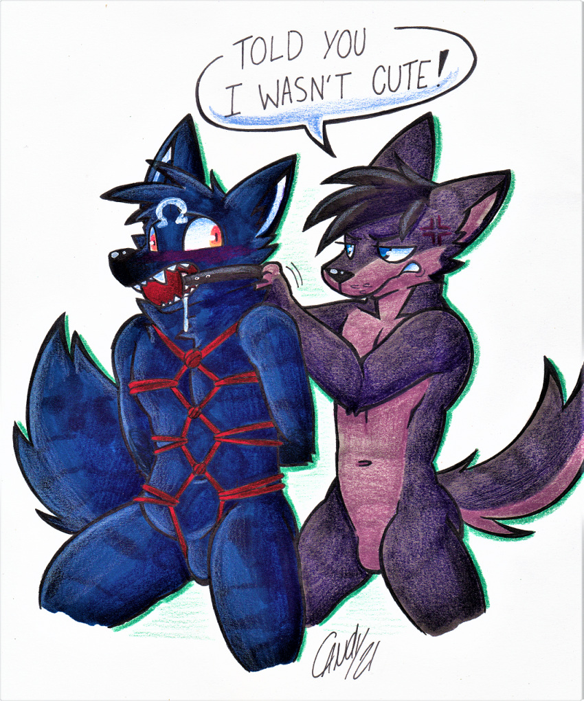 angry annoyed ball bdsm blue blush bondage bound bro bros_(disambiguation) candyshybat canid canine canis duo gag hi_res invalid_tag lobo malcolm_(applelover22) male male/male mammal omega purple restraints rope rope_bondage rope_harness superomegawolf3700 traditional_media_(artwork) wolf