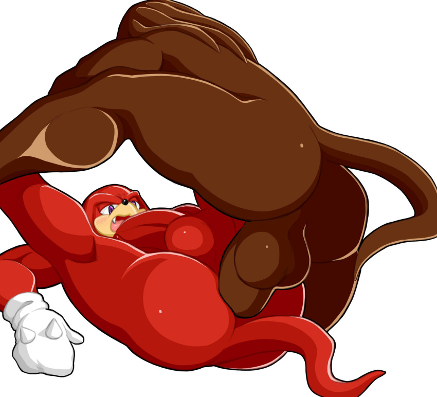 anal anthro balls blush butt duo fan_character genitals hi_res knuckles_the_echidna male male/male muscular muscular_male penis sega sonic_the_hedgehog_(series) tailverknk