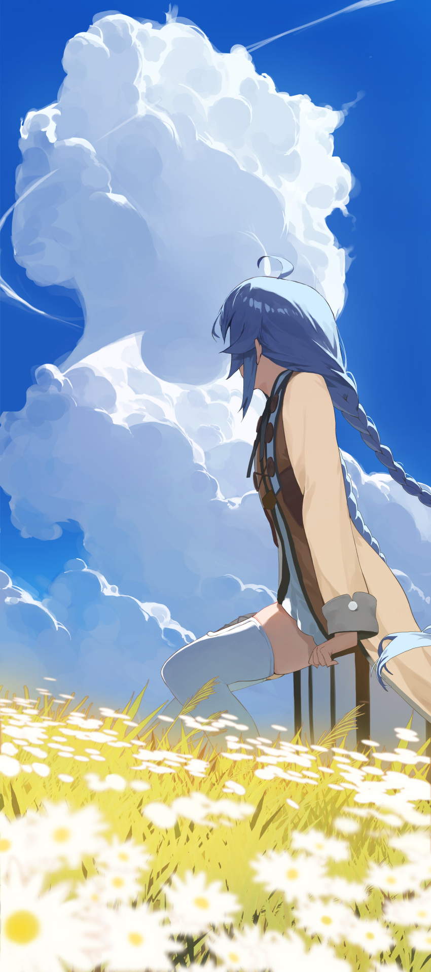 1girl absurdres ahoge blue_hair blue_sky braid cloud commentary_request cumulonimbus_cloud flat_chest flower from_side grass highres long_hair long_sleeves mushoku_tensei outdoors roxy_migurdia sidelocks sitting skindentation sky solo tenkiraku thighhighs twin_braids very_long_hair white_flower white_thighhighs