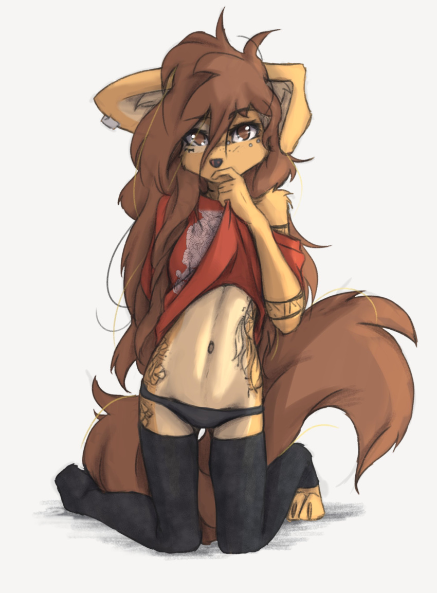 2023 absurd_res anthro apogee_(tinygaypirate) breasts canid canine canis claws clothed clothing clothing_lift digital_media_(artwork) domestic_dog feet female female_anthro floppy_ears fur hair hi_res kemono kneeling legwear long_hair looking_at_viewer mammal midriff navel off_shoulder panties paws piercing shirt shirt_lift small_breasts solo spitz t-shirt tail tattoo thigh_highs tinygaypirate toe_claws toes topwear underwear