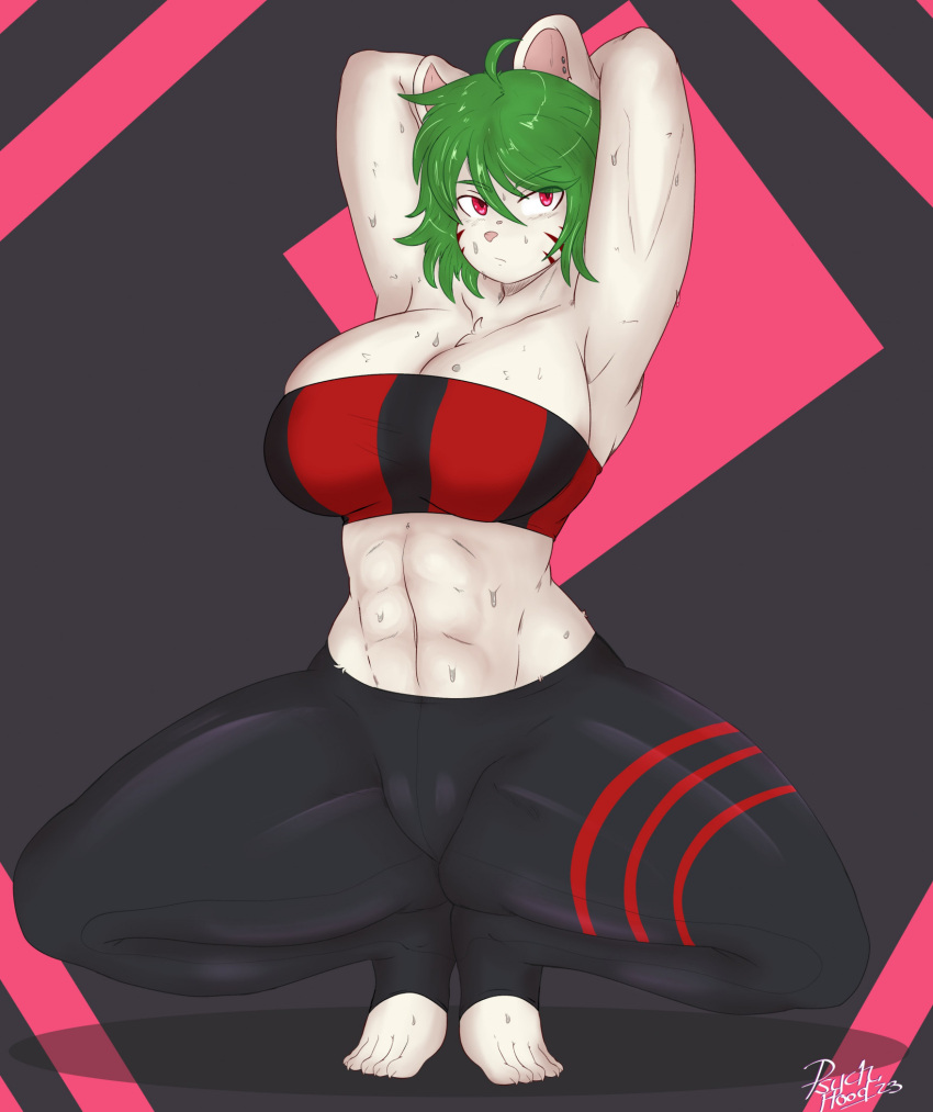 abs anthro big_breasts bodily_fluids breasts camel_toe cheek_markings clothing cricetid crouching facial_markings female green_hair hair hamster hands_behind_head head_markings hi_res leggings legwear mammal markings psychflood red_eyes rodent skyler_(psychflood) solo spread_legs spreading sweat thick_thighs toeless_legwear topwear tube_top white_body