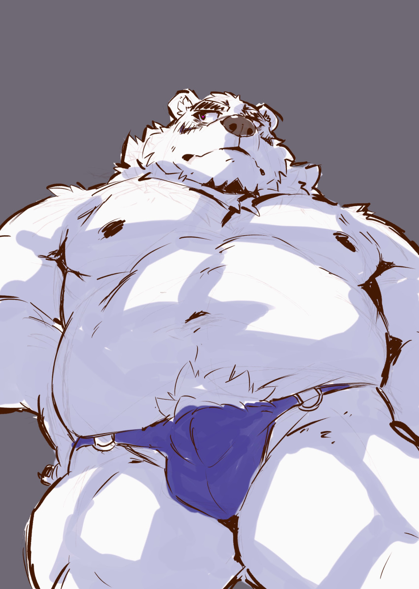 2023 absurd_res anthro bear belly black_nose borealis_(live_a_hero) bulge clothing heylaw21 hi_res kemono lifewonders live_a_hero male mammal moobs navel nipples overweight overweight_male polar_bear simple_background solo underwear ursine white_body