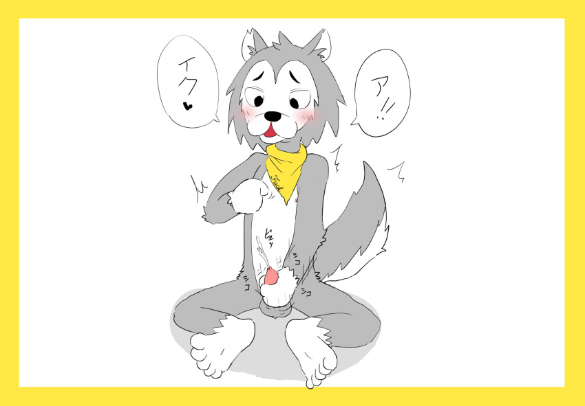 2021 5_toes anthro balls blush border canid canine canis colored ejaculation embarrassed erection feet fur genitals half-closed_eyes hi_res japanese_text looking_at_self male mammal masturbation mostly_nude narrowed_eyes nekotanyanneko nipple_fetish nipple_play penis scarf scarf_only shaking simple_background sitting solo tail text toes trembling white_background white_body white_fur wolf yellow_border yellow_scarf