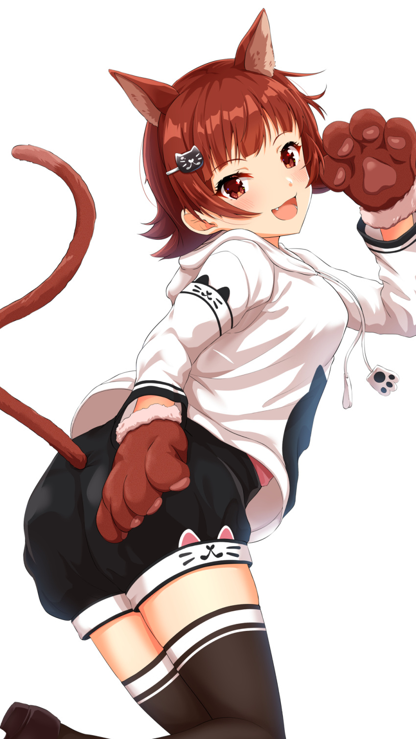 1girl :d animal_ears animal_hands animal_print black_shorts black_thighhighs blush breasts brown_eyes brown_footwear brown_hair cat_ears cat_hair_ornament cat_paws cat_print cat_tail dot_nose fake_animal_ears fake_tail fang from_behind hair_ornament hairclip hand_up highres hood hood_down hoodie idolmaster idolmaster_million_live! idolmaster_million_live!_theater_days long_sleeves looking_at_viewer looking_back medium_breasts nagmilk nonohara_akane open_mouth pink_shirt print_hoodie print_shorts shirt short_hair shorts simple_background smile solo standing standing_on_one_leg tail thighhighs white_background white_hoodie
