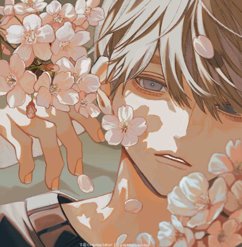 1boy bishounen cognacbear expressionless flower highres light_brown_hair looking_at_viewer male_focus original parted_lips pink_flower portrait short_hair solo sweater