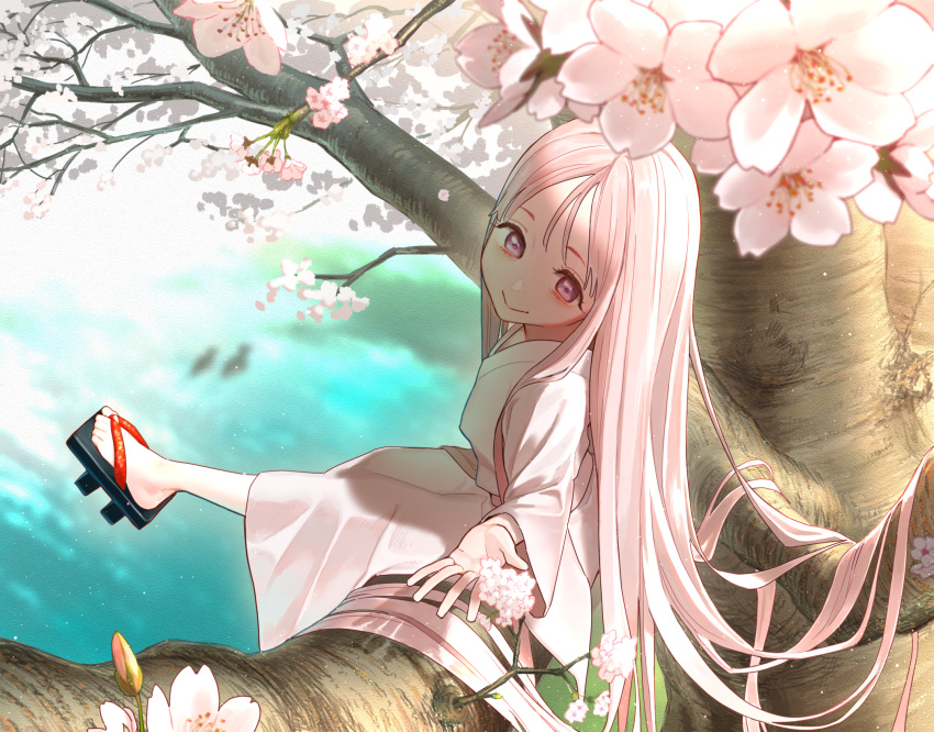 1girl :&gt; blurry blurry_background cherry_blossoms cherry_tree closed_mouth commentary_request full_body geta highres japanese_clothes kimono long_hair matsu_bokkuri original petite pink_hair pink_kimono sitting_on_branch smile solo very_long_hair water