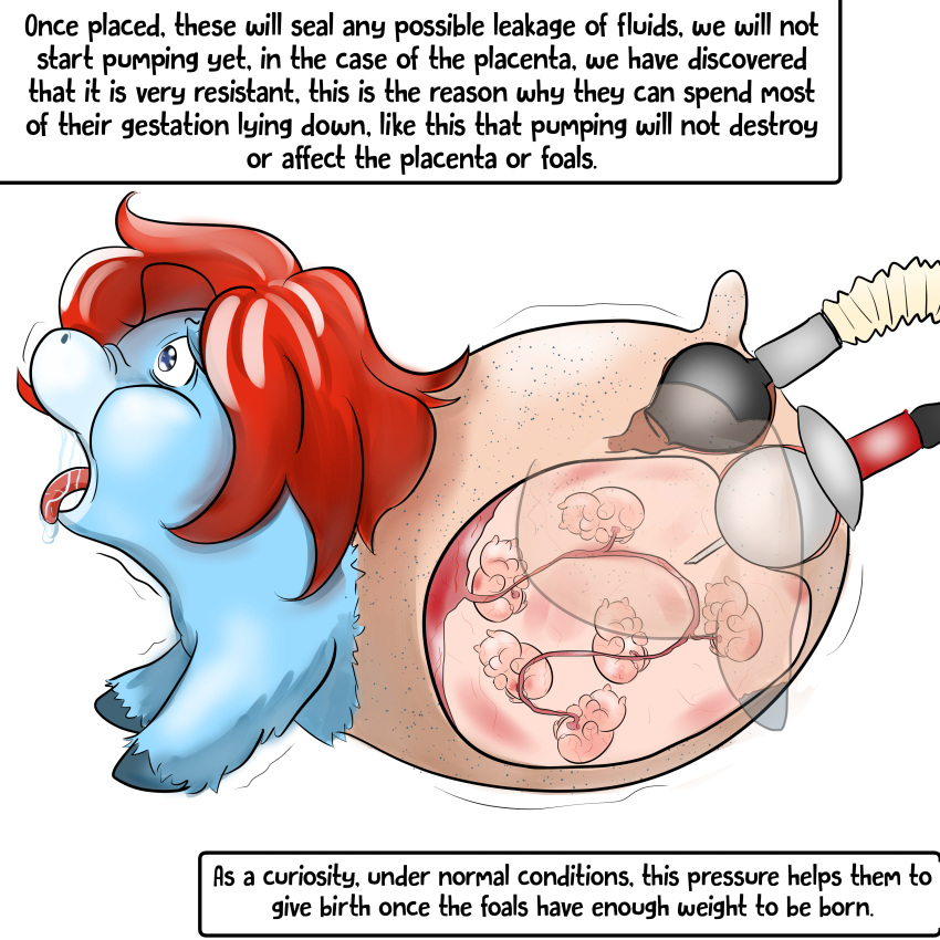 1:1 absurd_res abuse blue_body blue_eyes blue_fur english_text female feral fetus fluffy_pony fur hair hi_res imminent_vore inshi red_hair simple_background solo text white_background