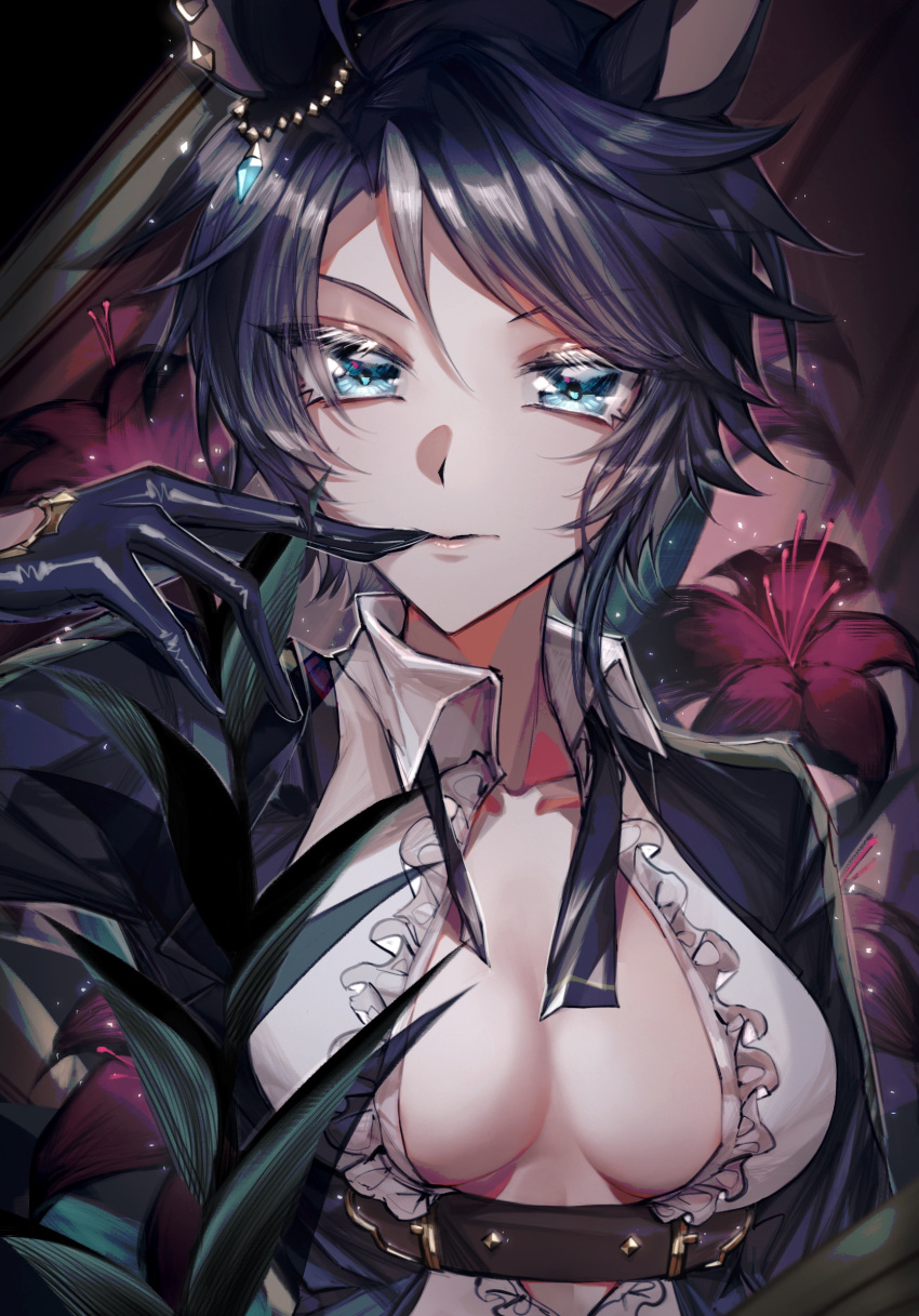 1girl animal_ears arm_at_side arm_up black_gloves black_hair black_jacket black_necktie blue_eyes breasts breasts_apart center_frills closed_mouth clothes_pull collarbone collared_shirt ear_ornament eyebrows_hidden_by_hair eyelashes eyes_visible_through_hair flower frilled_shirt frills fuji_kiseki_(umamusume) gem glove_pull gloves grey_hair highres horse_ears jacket jewelry kirihara_(010010004) lips long_sleeves looking_at_viewer medium_breasts medium_hair mouth_hold multicolored_hair necktie no_bra open_clothes open_jacket open_shirt parted_bangs pulled_by_self shirt solo two-tone_hair umamusume undone_necktie upper_body white_shirt wing_collar