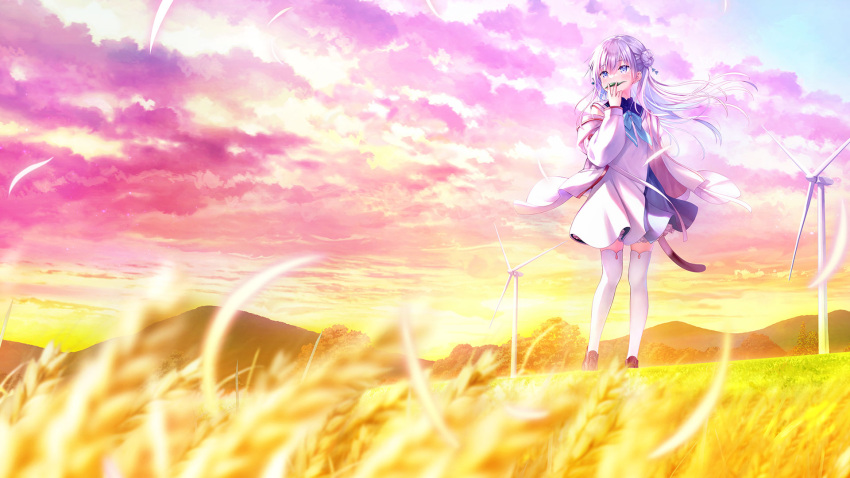 1girl anemoi blue_eyes blue_neckerchief blue_sailor_collar blush cloud dress floating_hair grass grey_hair hair_bun highres jacket key_visual long_hair looking_afar na-ga neckerchief off_shoulder official_art open_clothes open_jacket outdoors promotional_art sailor_collar sailor_dress sky solo thighhighs twilight wheat white_dress white_thighhighs wind wind_turbine