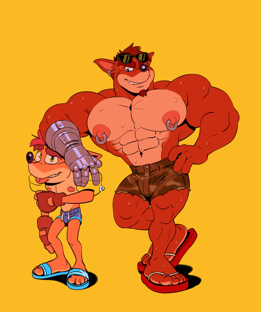 abs activision anthro bandicoot beard biceps big_muscles big_nipples black_nose blue_eyes bodily_fluids bottomwear brown_body brown_fur brown_hair clothing crash_bandicoot crash_bandicoot_(series) crunch_bandicoot cybernetic_arm cybernetic_limb duo ear_piercing facial_hair footwear fur gloves green_eyes grin hair handwear hi_res inflatable larger_male male male/male mammal marsupial mezcal_(artist) muscular muscular_anthro muscular_legs muscular_male muscular_thighs nipple_piercing nipples pecs piercing red_body red_fur red_hair sandals shorts simple_background size_difference smaller_male smile standing sweat tongue tongue_out water_wings