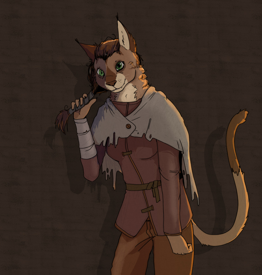 anthro bags_under_eyes bethesda_softworks cape clothing digital_drawing_(artwork) digital_media_(artwork) ear_tuft fan_character felid female garbagegarage hi_res khajiit mammal mismatched_eyes ragged_clothing solo tail the_elder_scrolls tuft