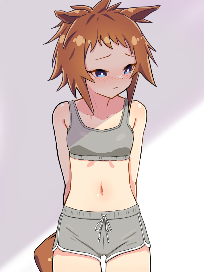 1girl absurdres animal_ears arms_behind_back bare_shoulders biko_pegasus_(umamusume) blush breasts brown_hair closed_mouth cowboy_shot grey_shorts highres horse_ears horse_girl horse_tail looking_to_the_side navel nose_blush raised_eyebrows short_hair shorts small_breasts solo special_cat sports_bra tail umamusume