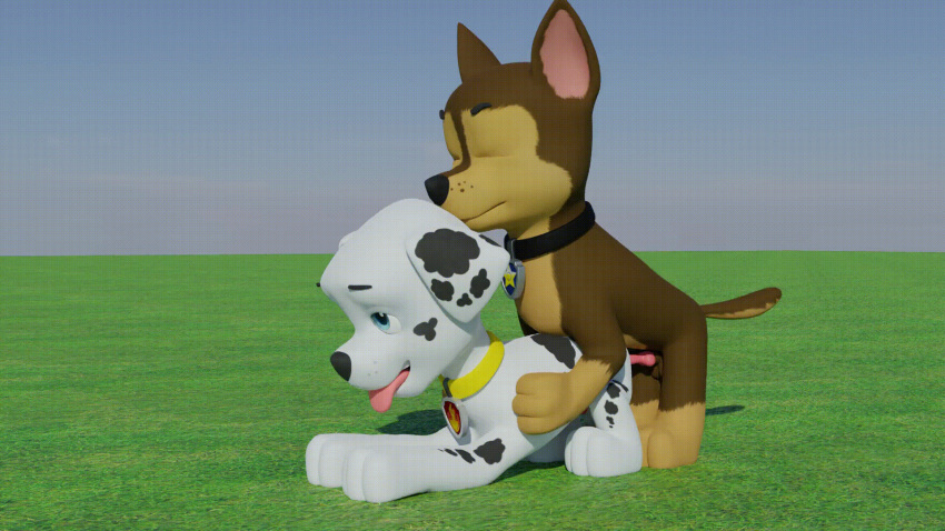anal anal_penetration animal_genitalia animal_penis animated anus blender_(software) canid canine canis chase_(paw_patrol) collar digital_media_(artwork) doggystyle domestic_dog duo feral foamv_(artist) from_behind_position genitals hi_res male male/male mammal marshall_(paw_patrol) no_sound outside_sex paw_patrol penetration penis sex
