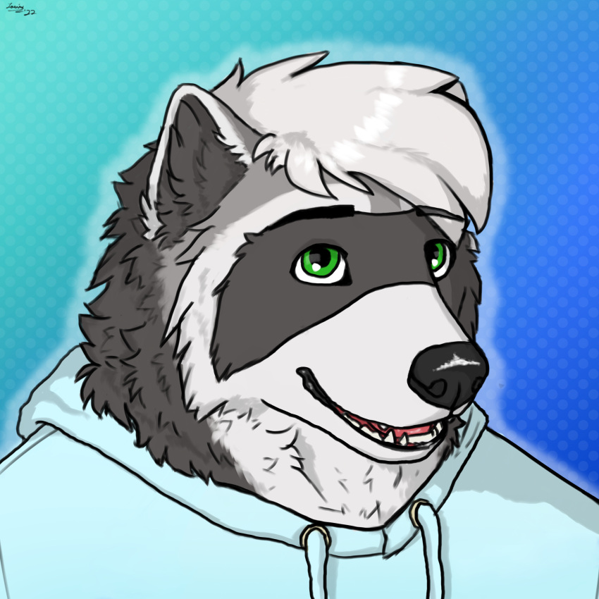 anthro black_body black_fur bust_portrait clothing emile_rowan fluffy fur hi_res hoodie icon male mammal portrait procyonid raccoon saerixdurr sketch solo topwear white_body white_fur