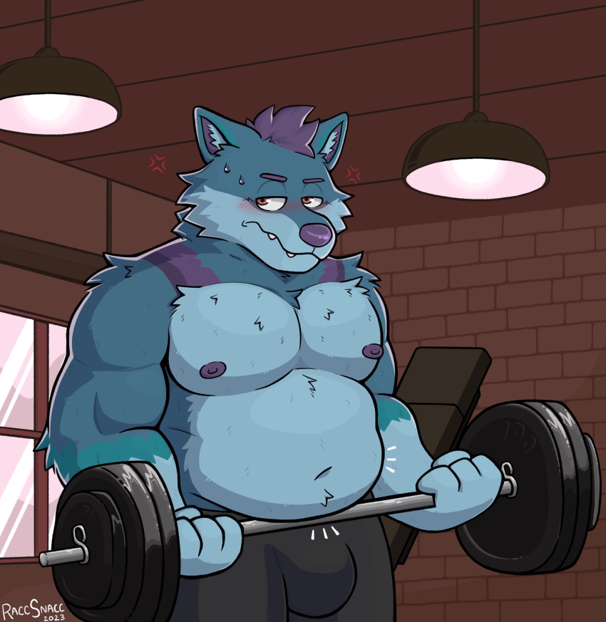 anthro barbell belly belly_overhang blue_body blue_fur blush brick_wall bulge canid canine canis clothed clothing embarassment embarrassed exercise fit_to_fat fur gym hair hi_res lights male mammal muscular muscular_anthro muscular_male navel nipples overweight overweight_anthro overweight_male purple_hair raccsnacc solo wall_(structure) weight_gain weightlifting weights window wolf workout yukon