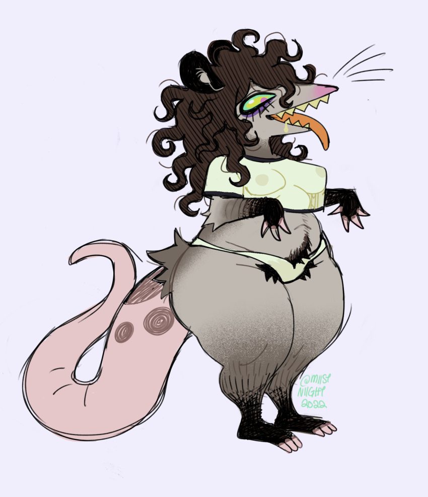 2022 american_opossum breasts clothing curled_hair female hair hi_res mammal marsupial miistniight panties pubes pubes_exposed sharp_teeth solo tail teeth tongue tongue_out translucent translucent_clothing translucent_topwear underwear