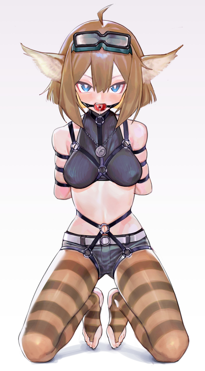 1girl absurdres aciddrop_(arknights) ahoge animal_ears arknights ball ball_gag bdsm blue_eyes bondage bound bound_arms breasts bridal_legwear bright_pupils brown_hair full_body gag gagged goggles goggles_on_head harness highres kneeling looking_at_viewer medium_breasts pantyhose saaal653 second-party_source short_hair short_shorts shorts skindentation solo stirrup_legwear striped striped_pantyhose toeless_legwear variant_set white_pupils wiffle_gag