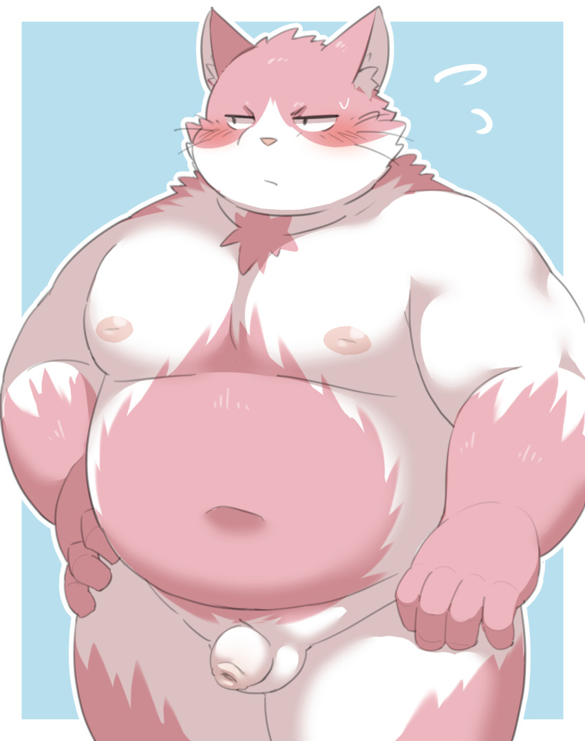 2023 anthro belly big_belly blush bodily_fluids bungo_(tamacolle) domestic_cat felid feline felis genitals hi_res humanoid_genitalia humanoid_hands humanoid_penis kemono male mammal moobs navel nipples overweight overweight_male penis pink_body ptcmtr simple_background small_penis solo sweat tamacolle white_body