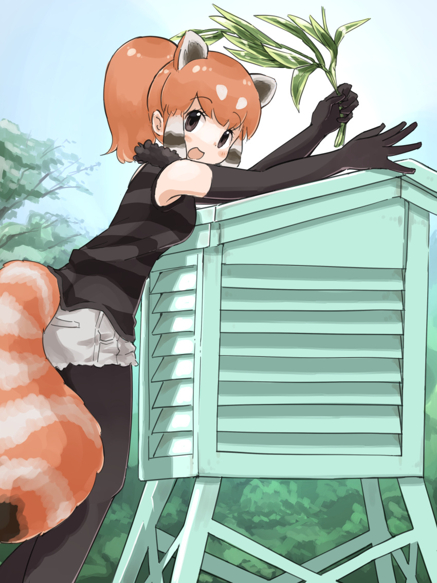 1girl absurdres black_gloves black_hair black_pantyhose black_shirt blue_sky blush breasts brown_eyes commentary_request cutoffs day elbow_gloves feet_out_of_frame from_side fur_collar gloves grey_shorts highres holding holding_plant iwa_(iwafish) kemono_friends lesser_panda_(kemono_friends) long_hair looking_at_viewer looking_to_the_side medium_breasts multicolored_hair open_mouth orange_hair outdoors outstretched_arms pantyhose pantyhose_under_shorts plant ponytail raised_eyebrows reaching red_panda_ears red_panda_girl red_panda_tail shirt short_shorts shorts sidelocks sky sleeveless sleeveless_shirt smile solo standing stevenson_screen striped striped_shirt white_hair