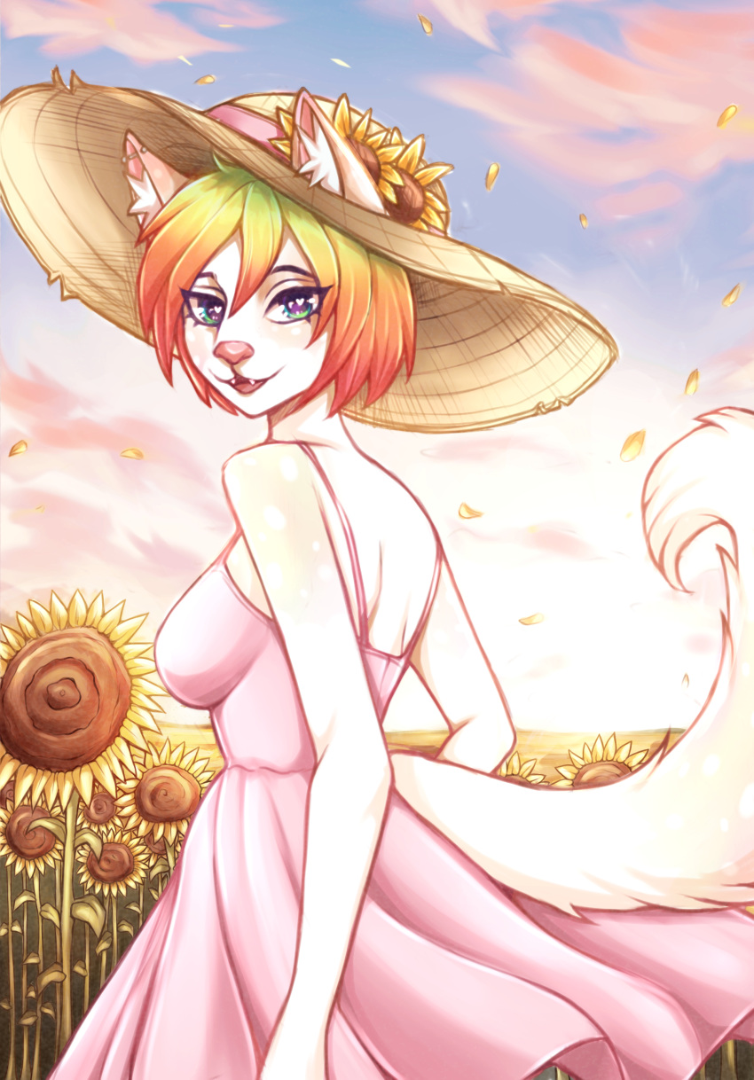 2023 absurd_res animal_humanoid anthro breasts canid canid_humanoid canine canine_humanoid clothed clothing colored detailed_background digital_drawing_(artwork) digital_media_(artwork) dolohova_(artist) dress ear_piercing fan_character female field flower flower_field fluffy fluffy_ears fluffy_tail fox fox_humanoid fur hair half-length_portrait hat headgear headwear hi_res humanoid inner_ear_fluff looking_at_viewer looking_back mammal mammal_humanoid multicolored_eyes multicolored_hair outside piercing plant portrait rainbow_eyes rainbow_hair romantic scenery shaded sharp_teeth sky smile solo straw_hat sunflower tail teeth tuft white_body white_fur