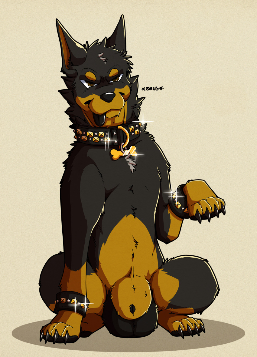 2023 animal_genitalia balls beauceron big_balls black_balls black_body black_fur black_tongue brown_body brown_eyes brown_fur brown_sheath canid canine canis claws collar digital_media_(artwork) digitigrade doggieo doggieo_(character) domestic_dog feral fully_sheathed fur genitals herding_dog hi_res male mammal multicolored_body multicolored_fur pastoral_dog paws quadruped sheath sitting solo studded_bracelet studded_collar toe_claws tongue tongue_out two_tone_body two_tone_fur